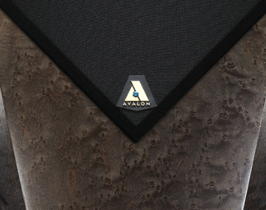 Precision Monitor 4 (PAIR)