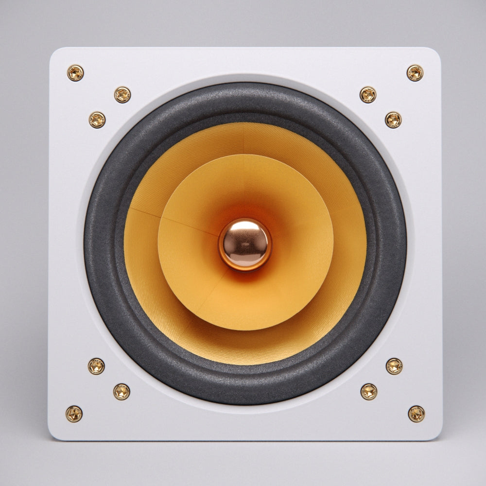 F8 Neo V2 fullrange driver (PAIR)