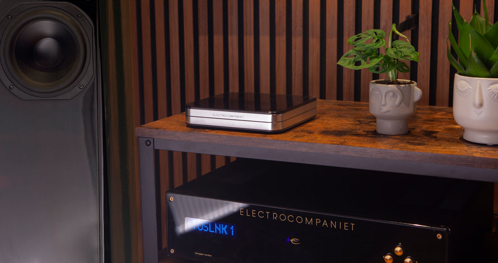 Rena S-2 Network player