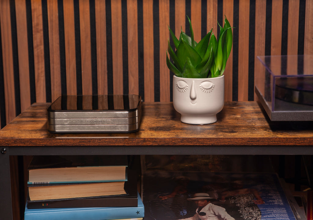 Rena SA-2 Network Amplifier