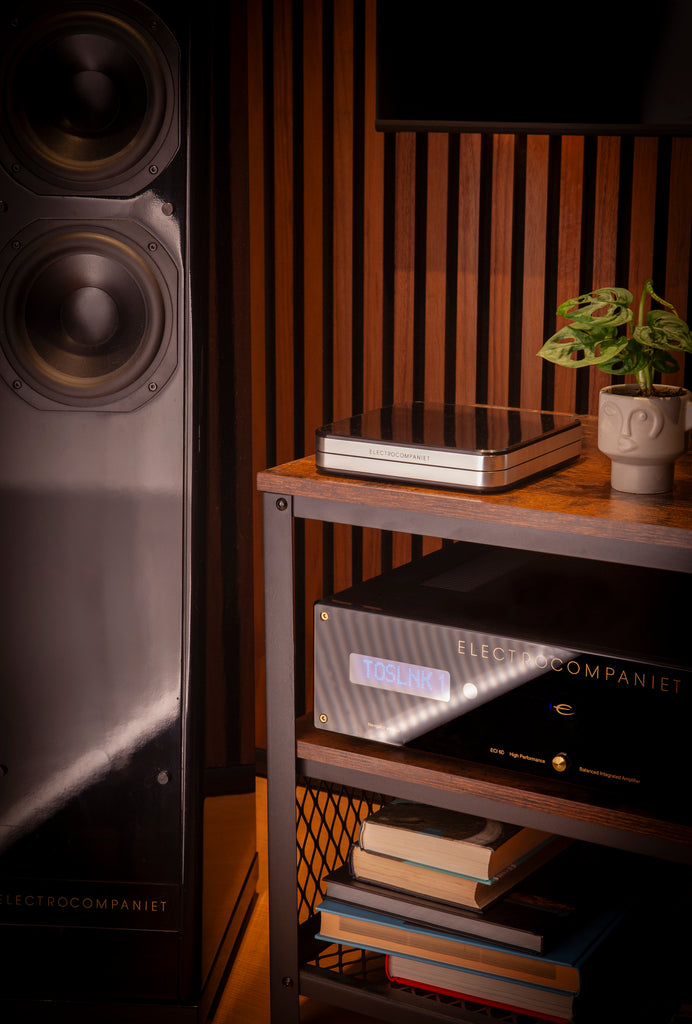 Rena S-2 Network player