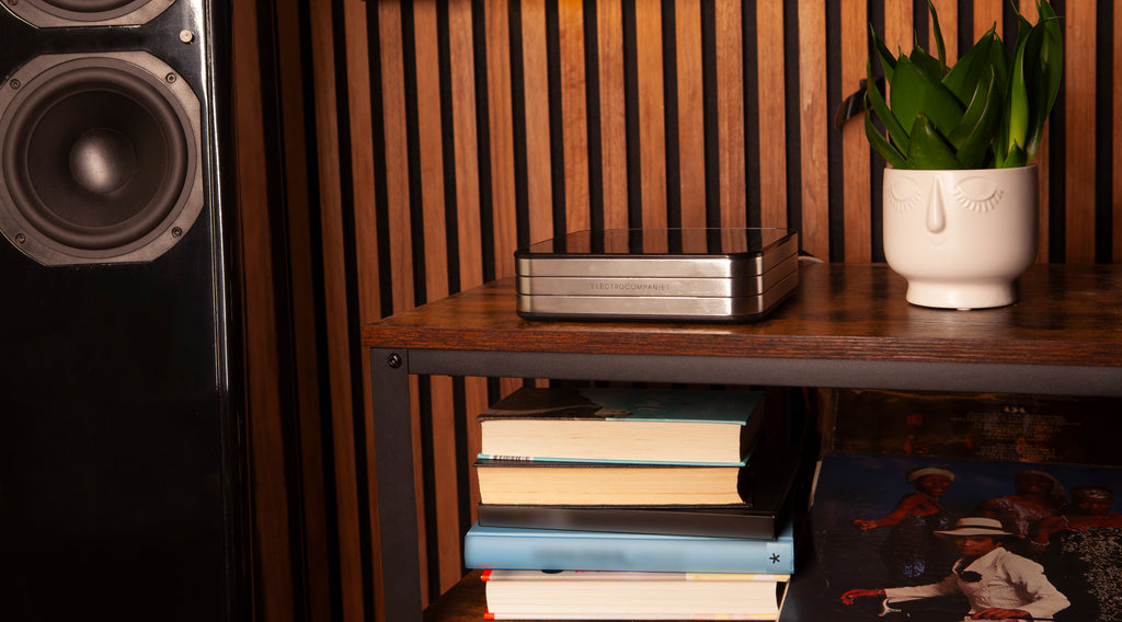 Rena SA-2 Network Amplifier