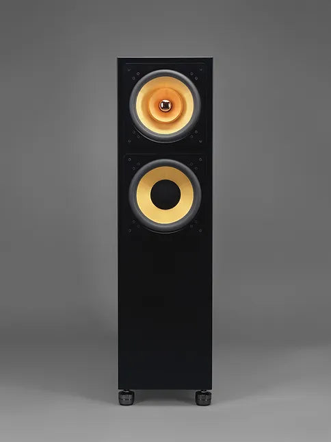 Lotus 10 (PAIR)