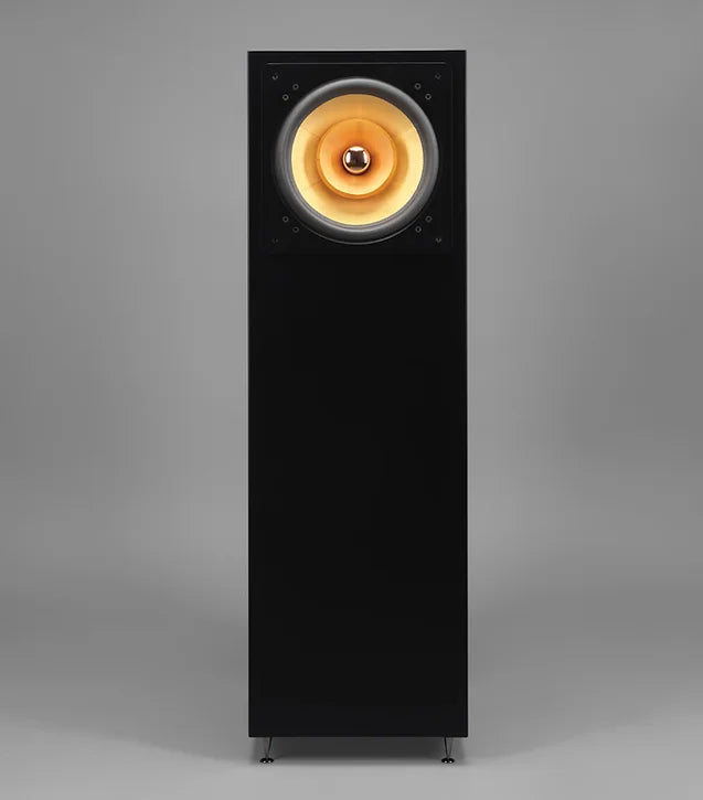 Jazzon V2 (PAIR)