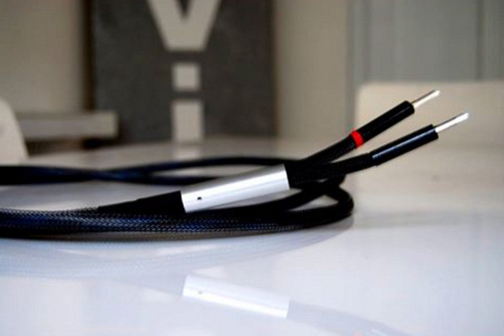 Gold-Silver Direct Speaker Cable 3m Stereo Ex.Demo