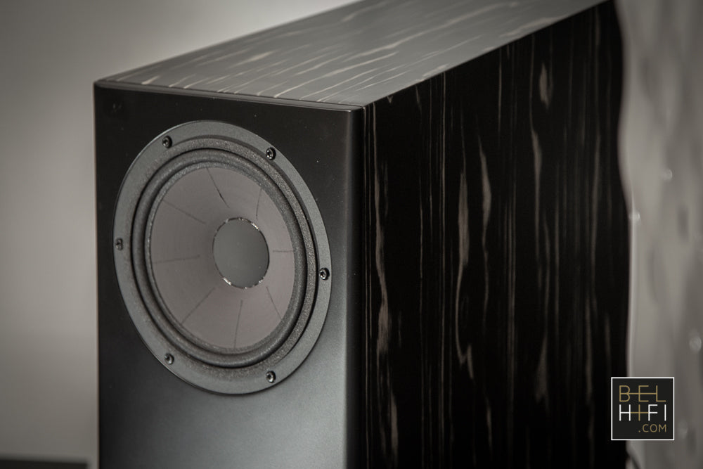 MV One Master (PAIR)