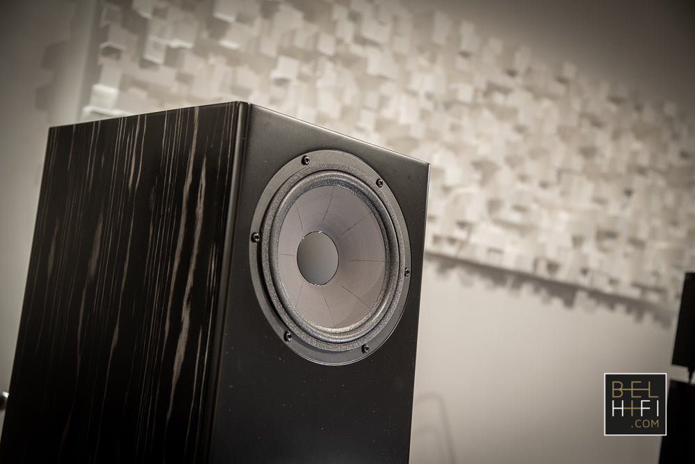 MV One Master (PAIR)