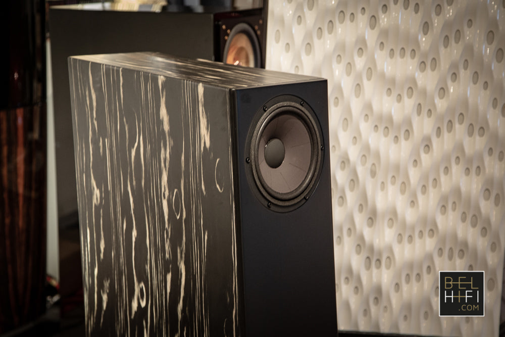 MV One Master (PAIR)