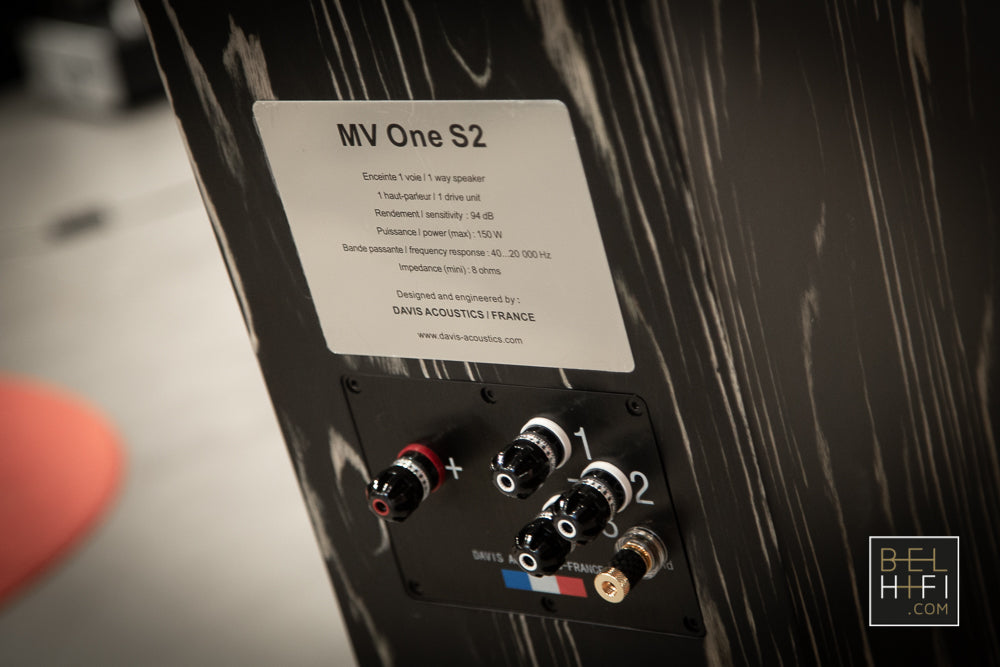 MV One Master (PAIR)