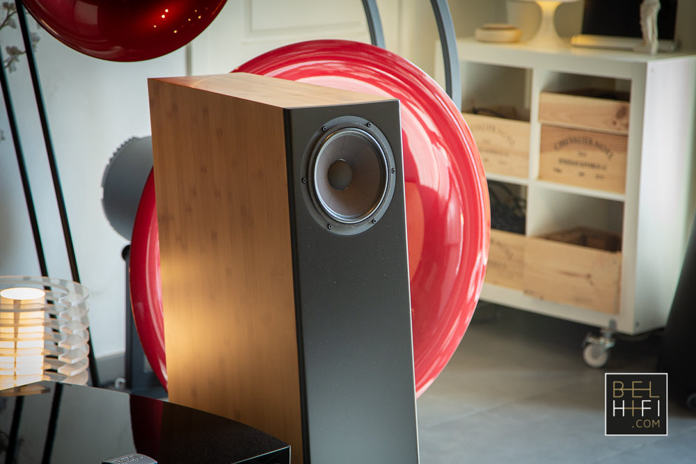 MV One Master (PAIR)