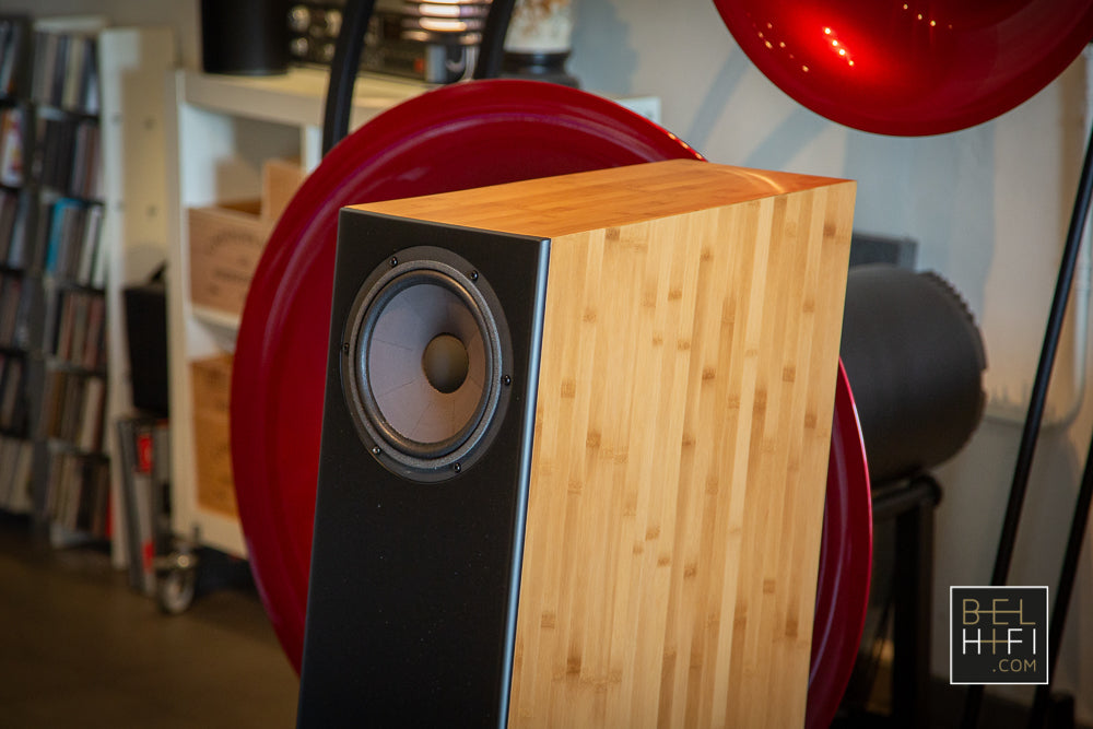 MV One Master (PAIR)