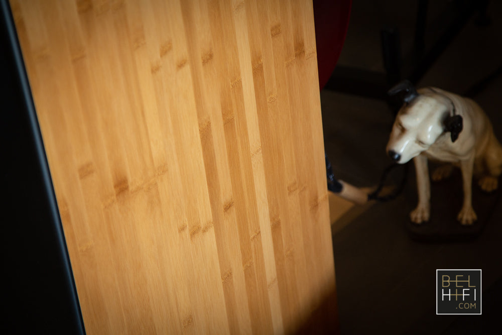 MV One Master (PAIR)