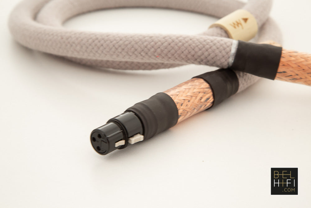 Hamony+ digital audio interconnect