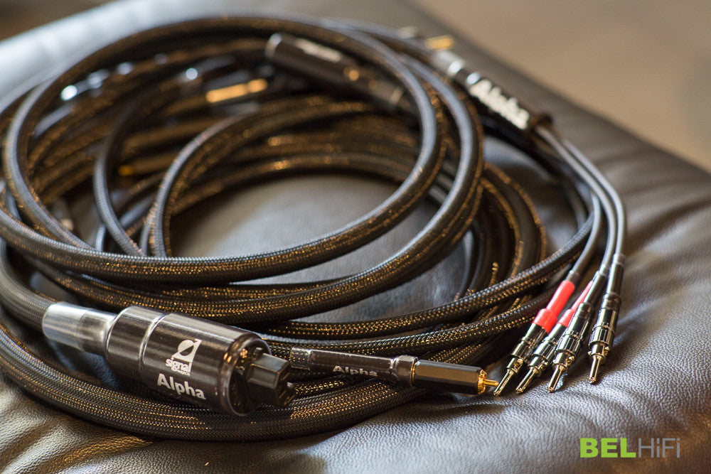 Alpha Interconnect RCA (PAIR)